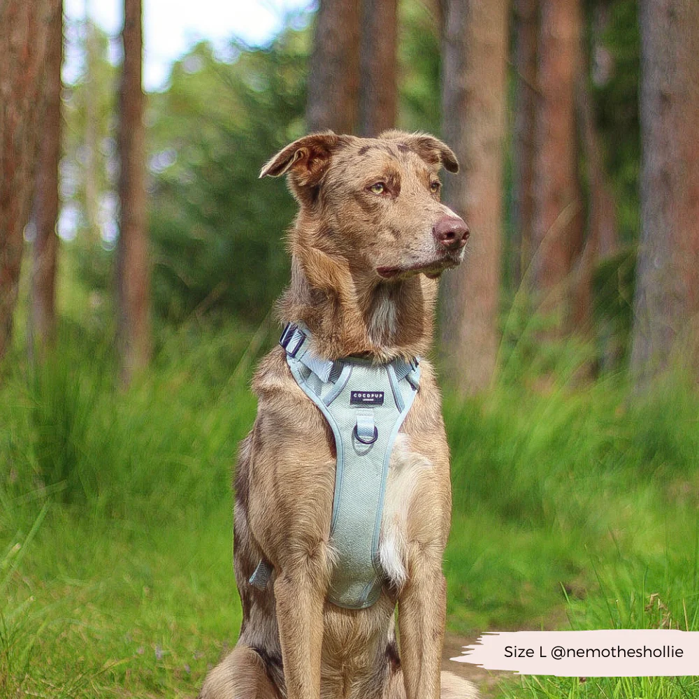 Explore Harness - Sage Tweed - Image 24