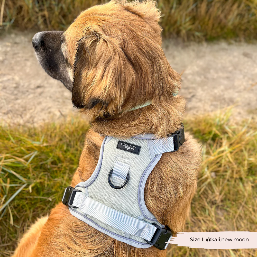 Explore Harness - Sage Tweed - Image 27