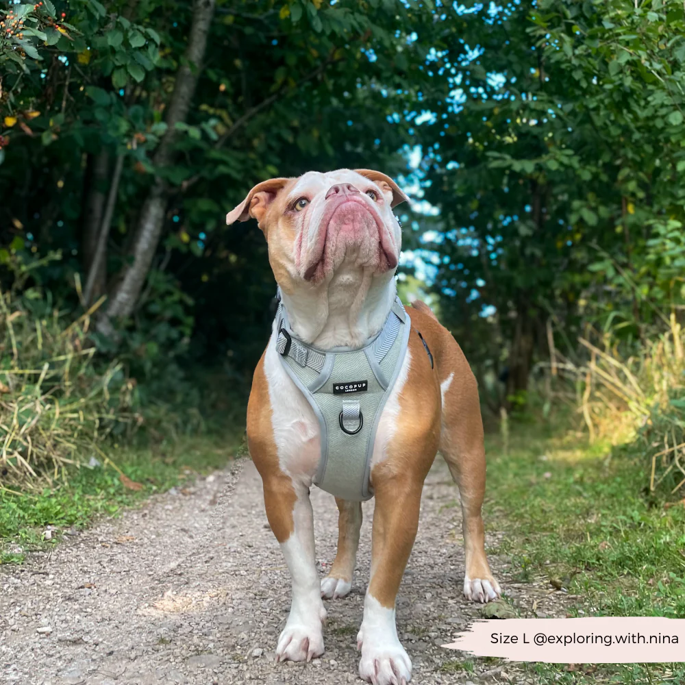Explore Harness - Sage Tweed - Image 30