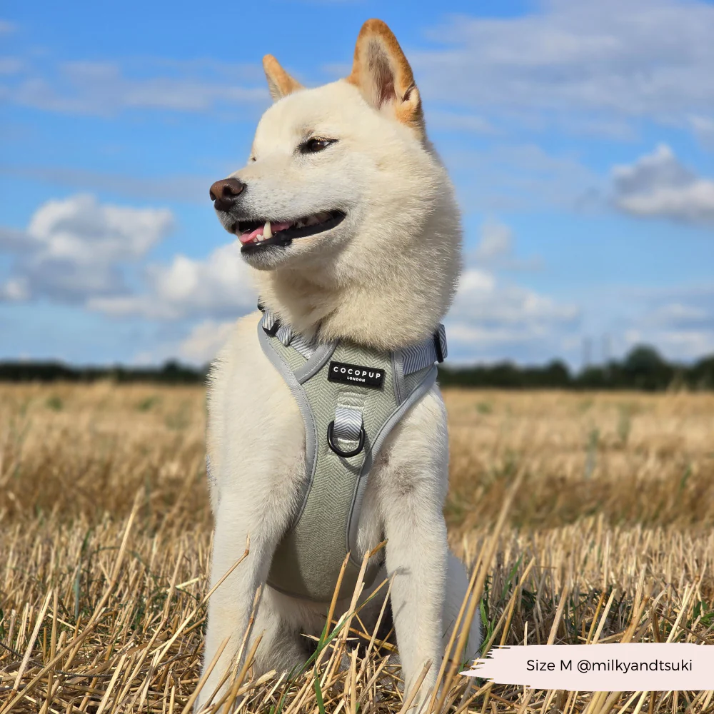 Explore Harness - Sage Tweed - Image 32