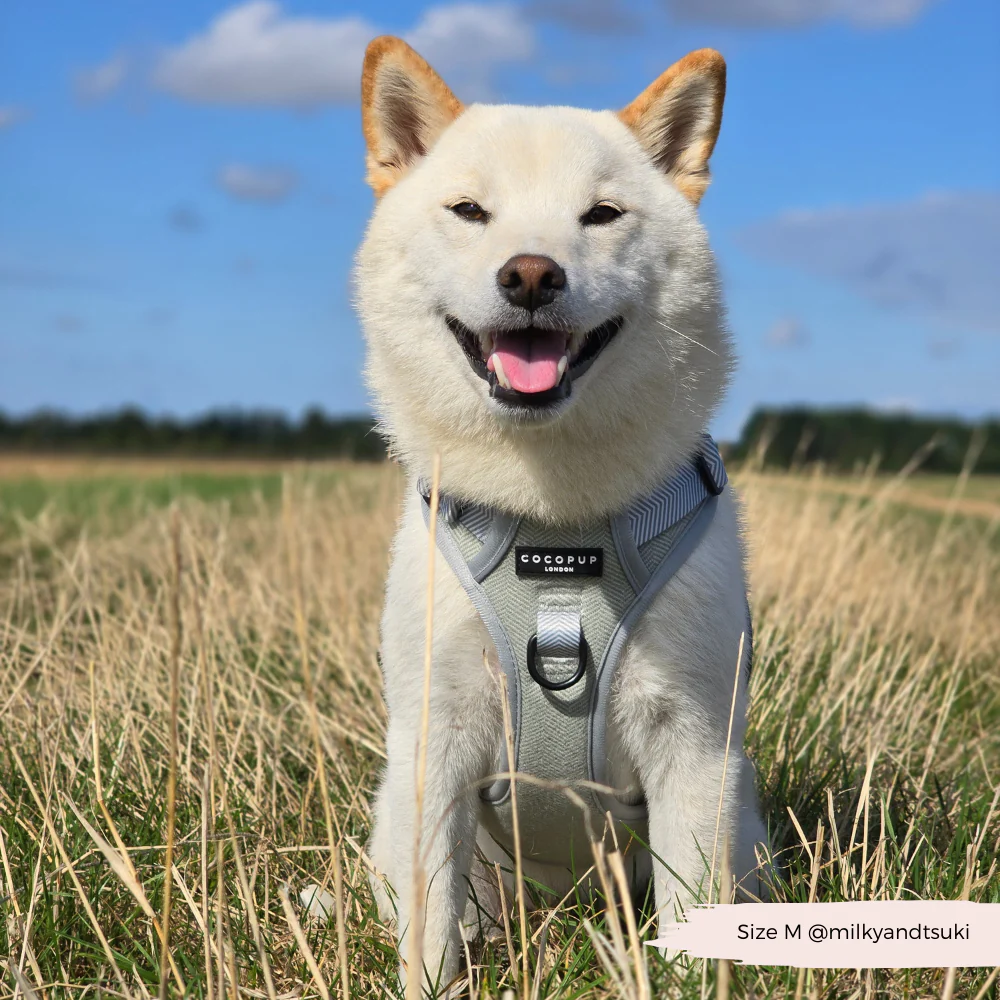 Explore Harness - Sage Tweed - Image 33
