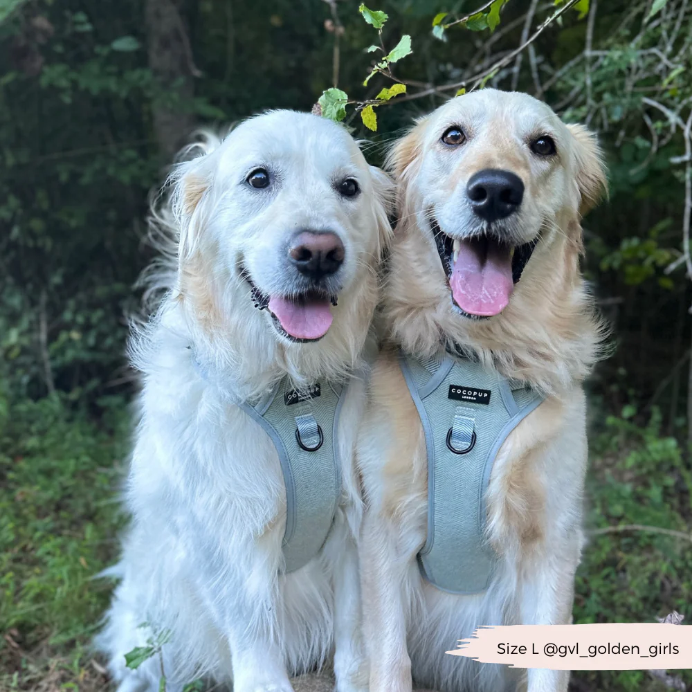 Explore Harness - Sage Tweed - Image 34