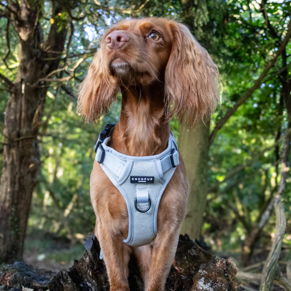 Explore Harness - Sage Tweed - Image 39