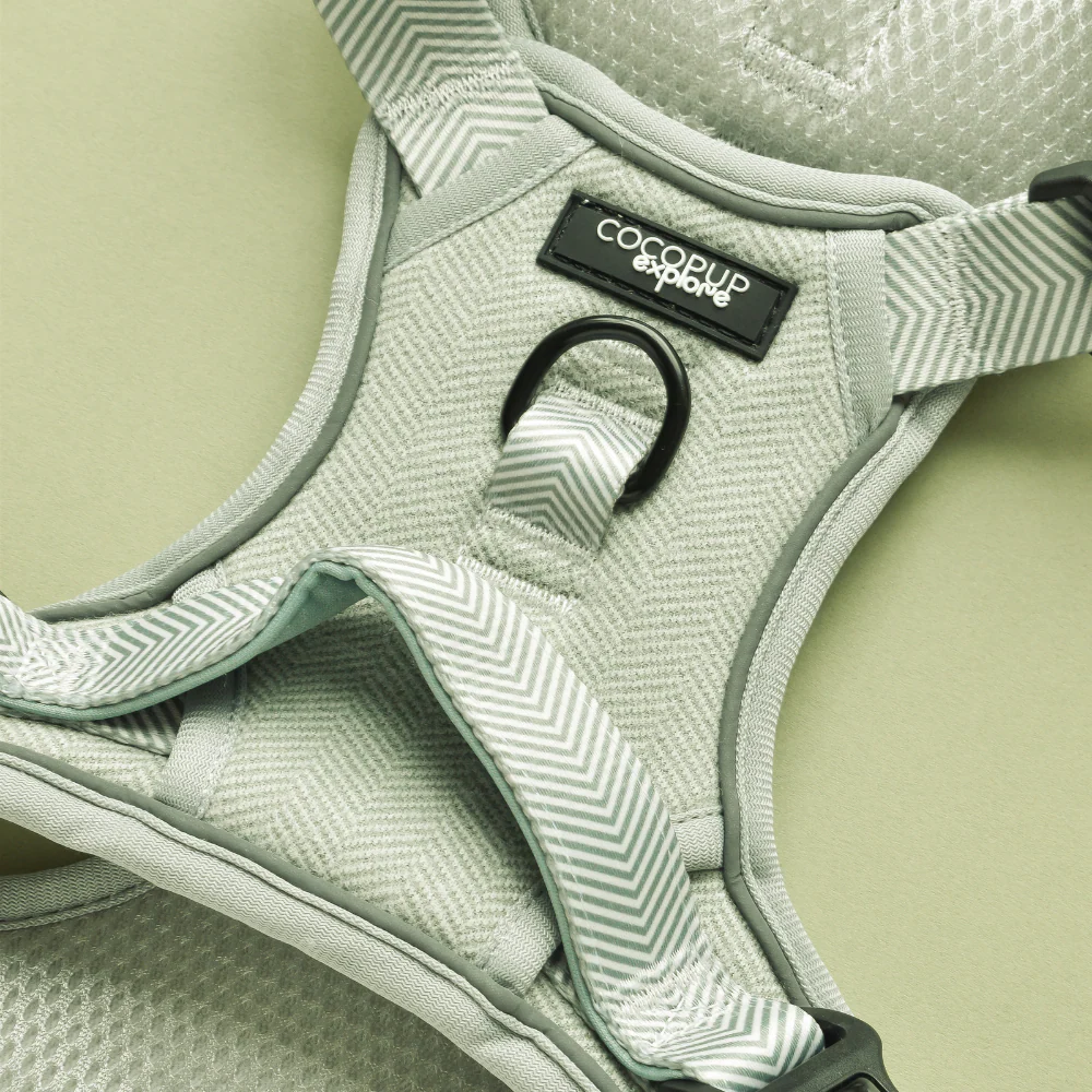 Explore Harness - Sage Tweed - Image 4