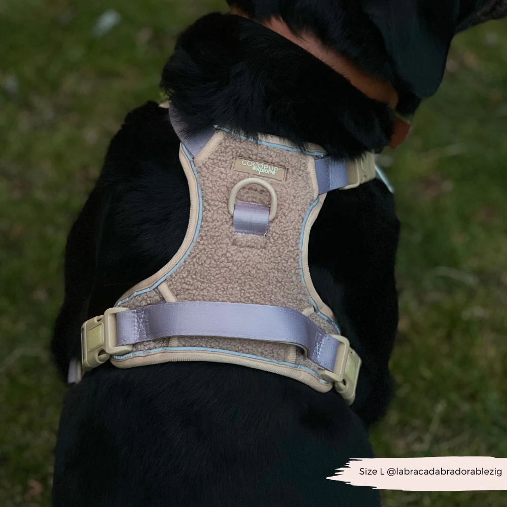 Explore Harness - Teddy Rupert - Image 17