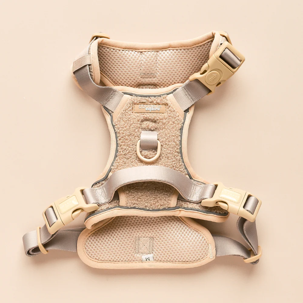 Explore Harness - Teddy Rupert - Image 6