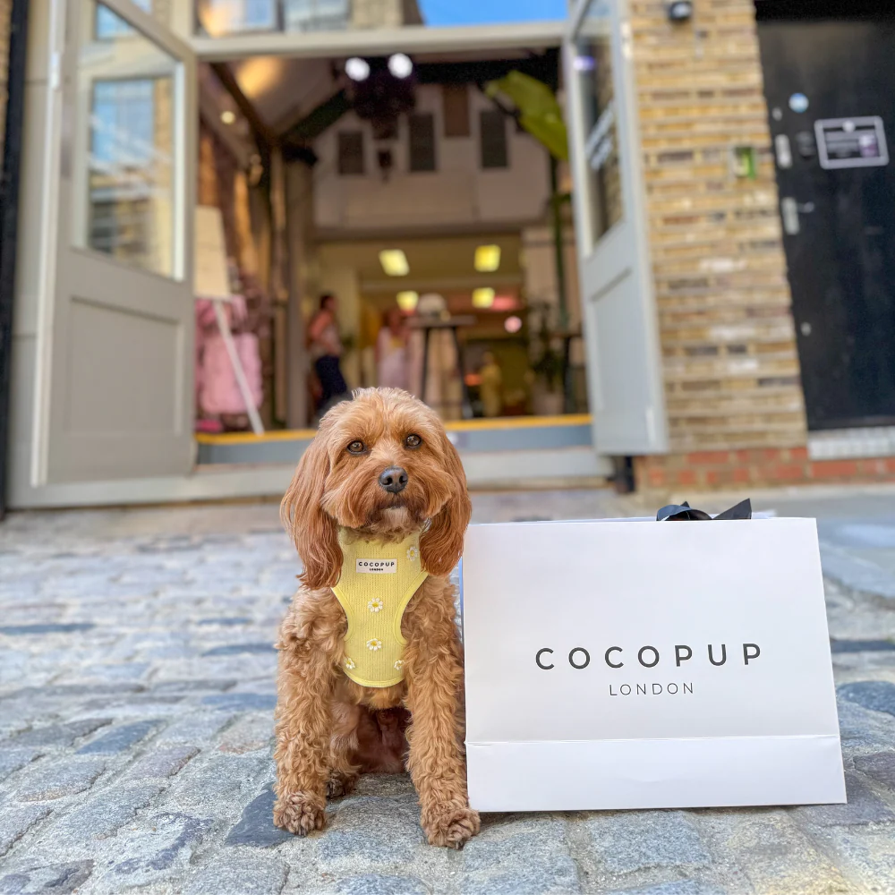 Cocopup Gift Bag - Image 2