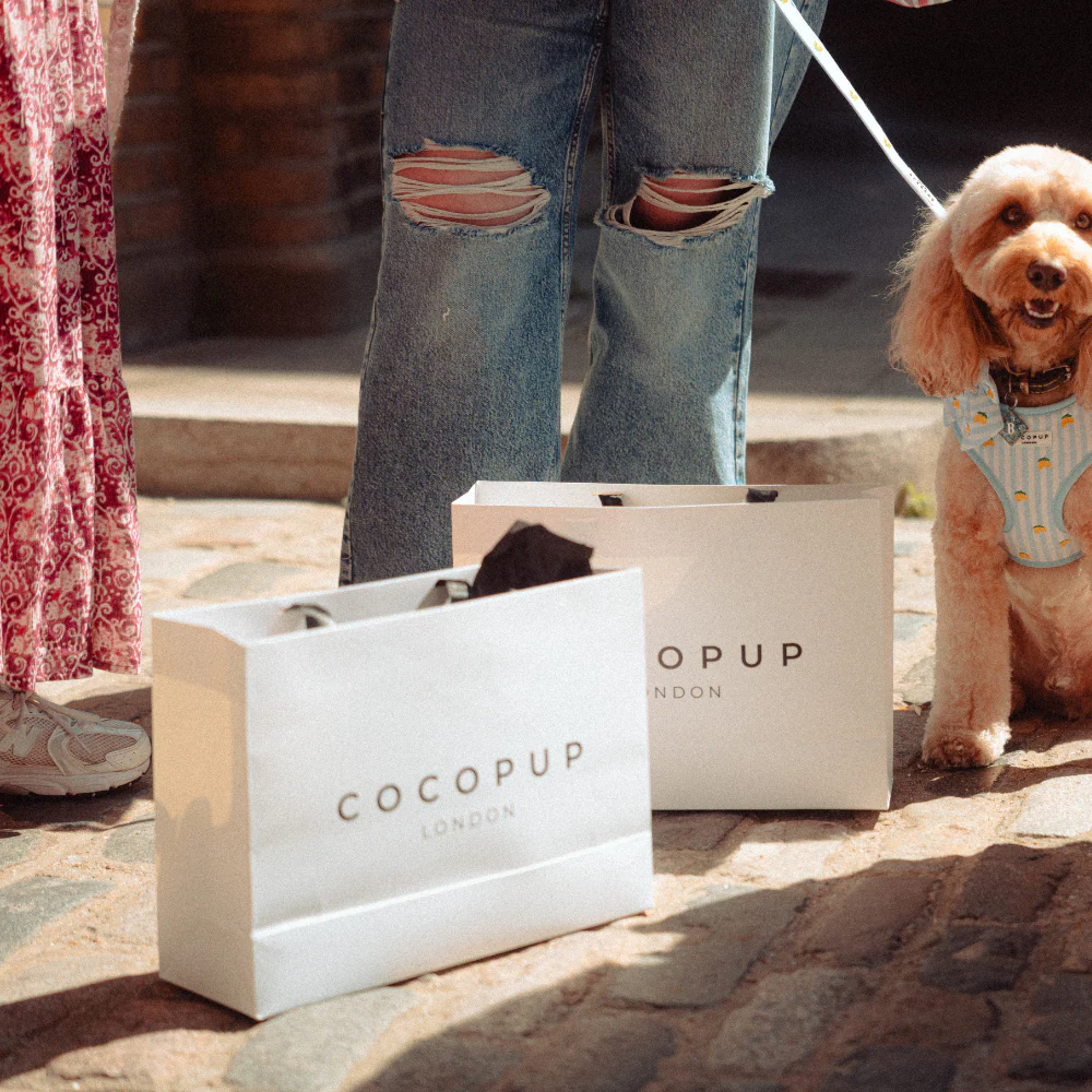 Cocopup Gift Bag - Image 3