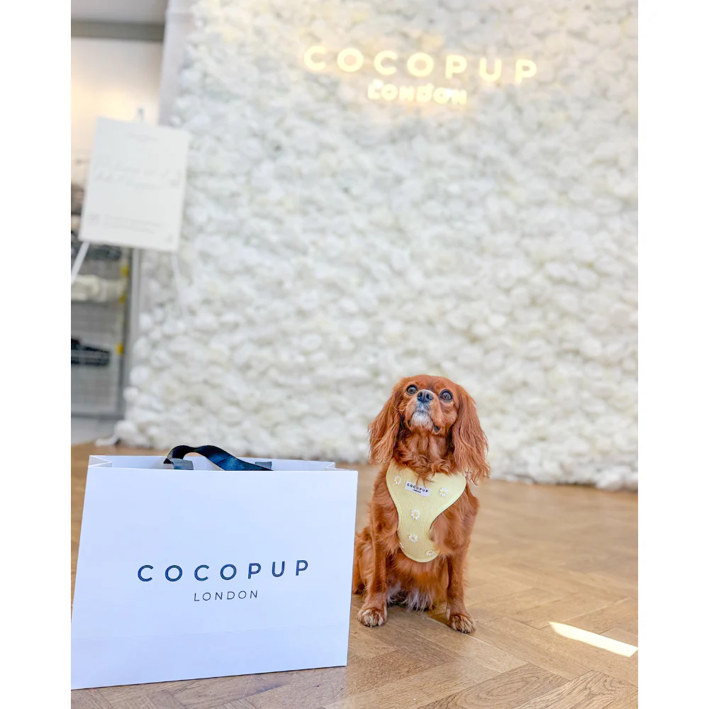 Cocopup Gift Bag - Image 4
