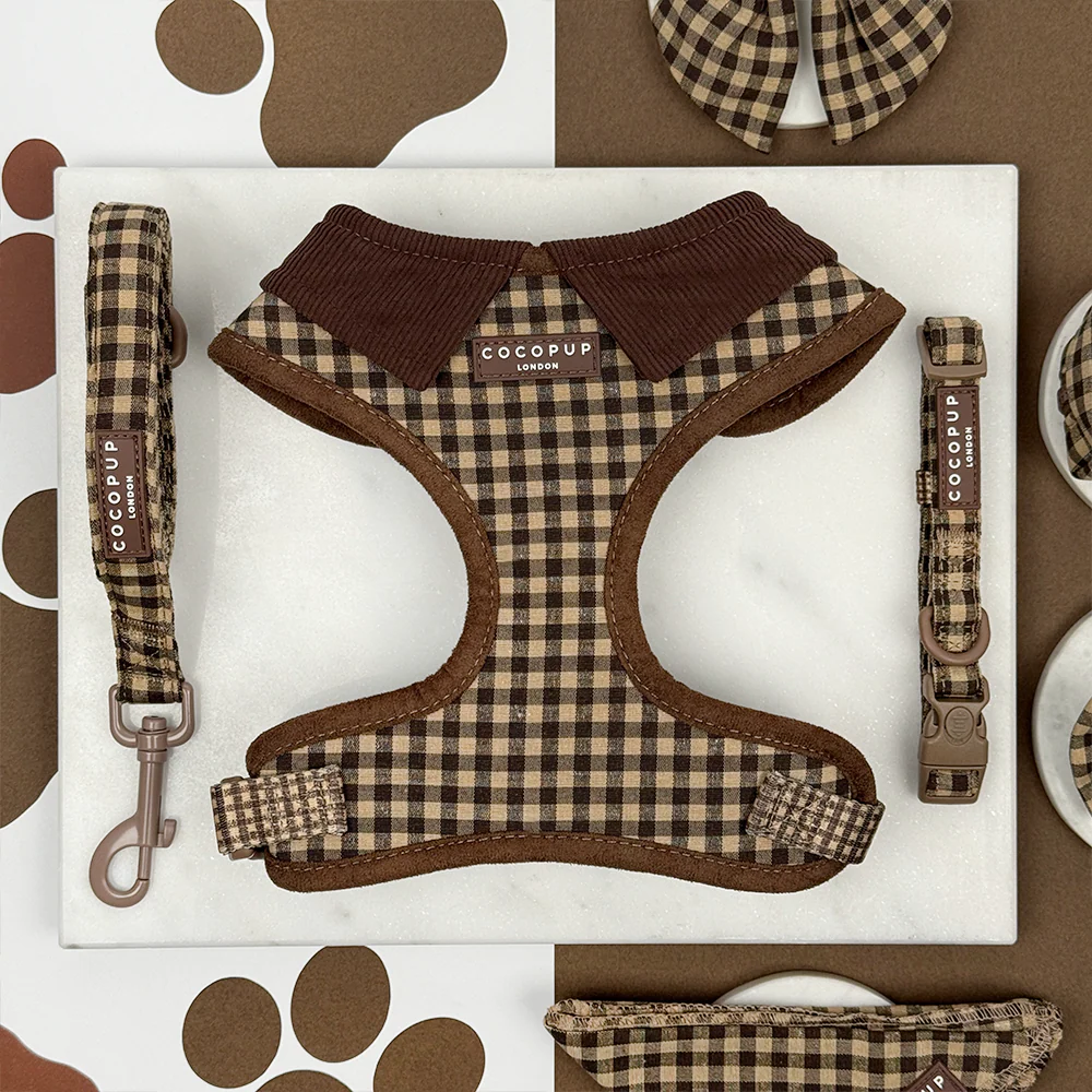 Cotswold Check Adjustable Neck Harness, Lead & Collar Bundle