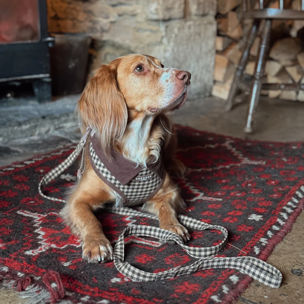 Cotswold Check Adjustable Neck Harness, Lead & Collar Bundle - Image 8