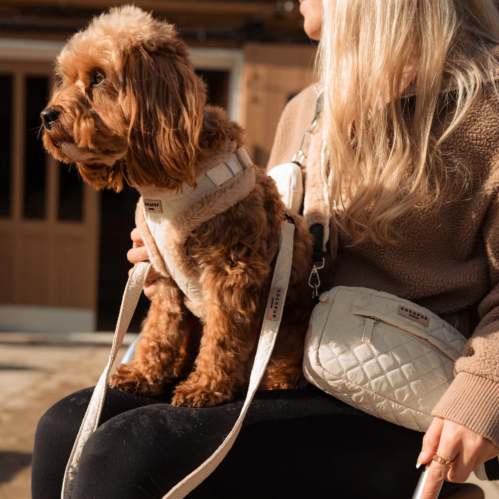 Cream Quilted Adjustable Neck Harness, Lead & Collar Bundle - Image 11