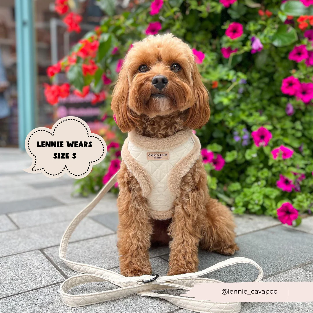 Cream Quilted Adjustable Neck Harness, Lead & Collar Bundle - Image 13