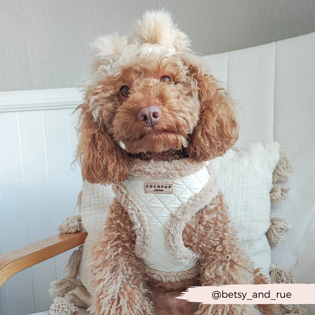 Cream Quilted Adjustable Neck Harness, Lead & Collar Bundle - Image 21