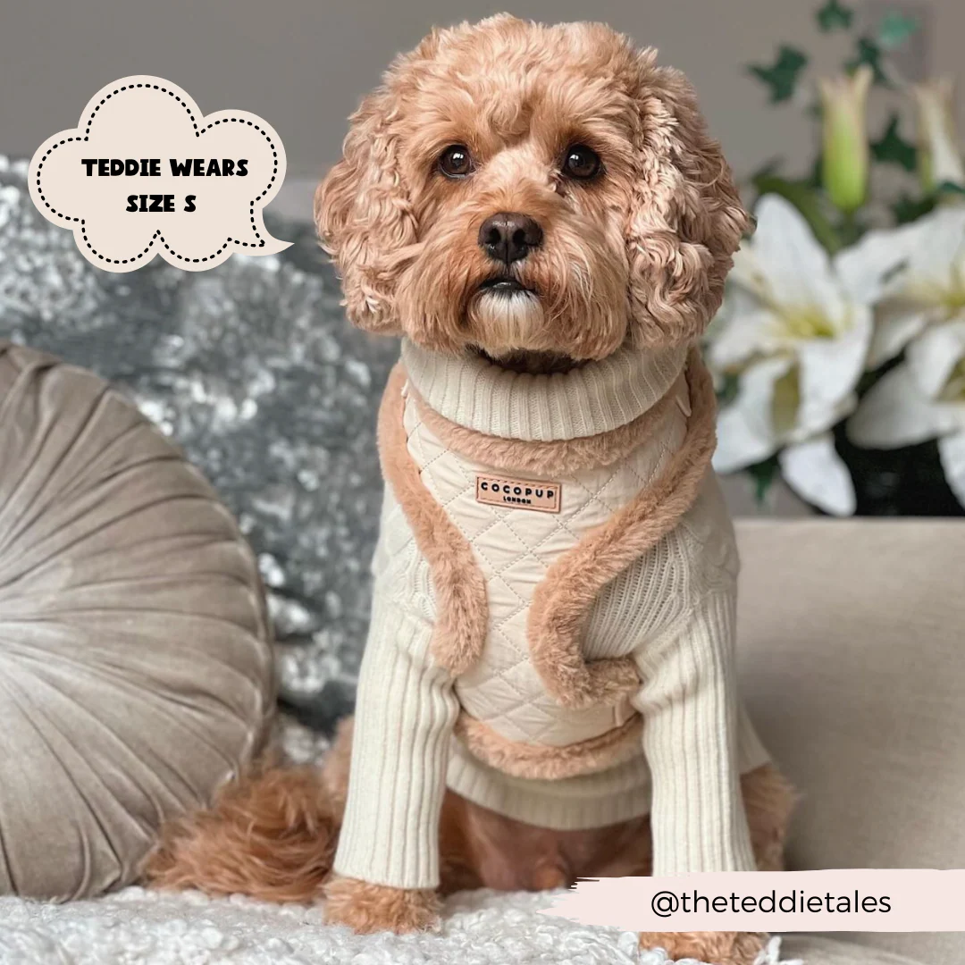 Cream Quilted Adjustable Neck Harness, Lead & Collar Bundle - Image 23