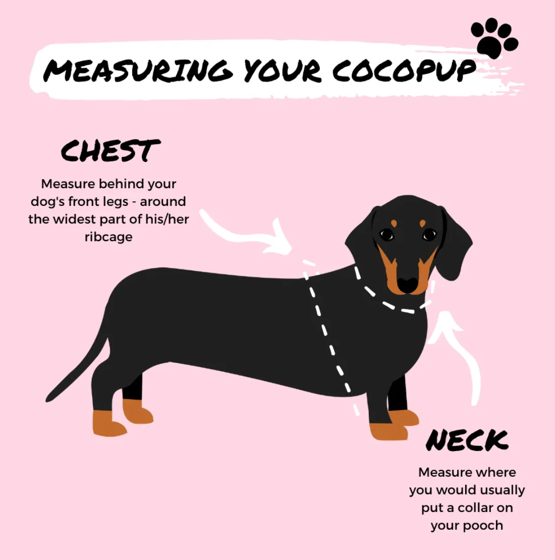 Daisy Chain Adjustable Neck Harness, Lead & Collar Bundle - Image 11
