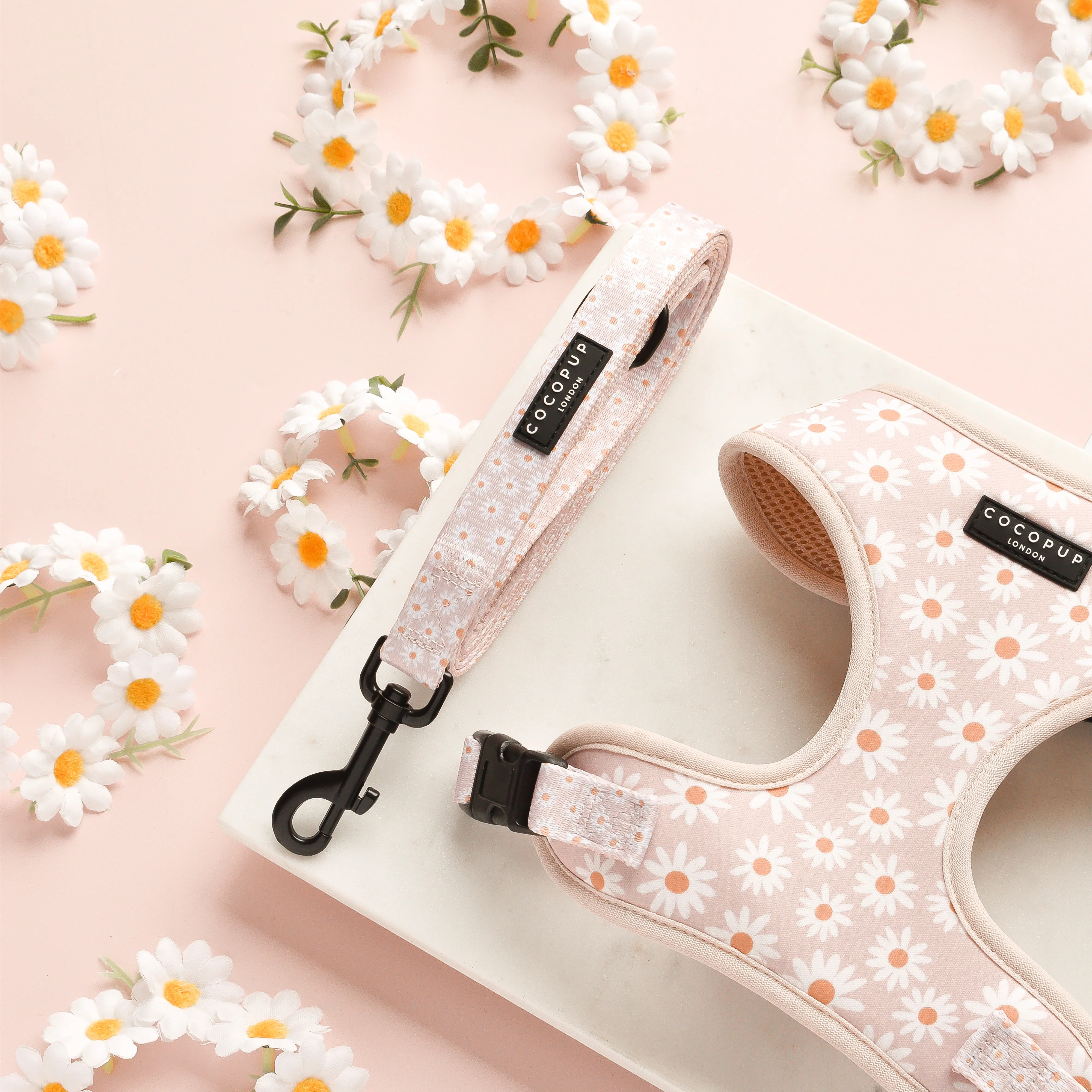 Daisy Chain Adjustable Neck Harness, Lead & Collar Bundle - Image 3