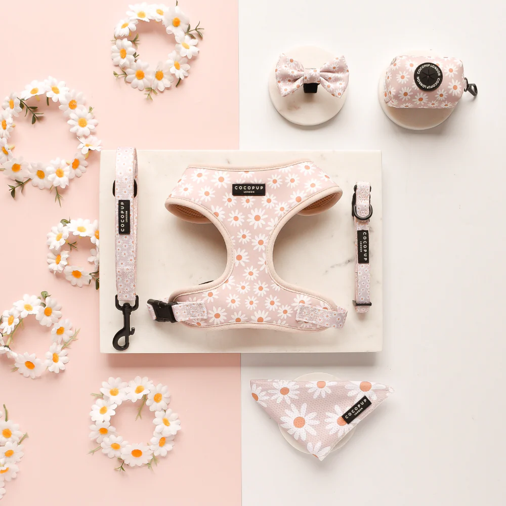Daisy Chain Bandana - Image 3
