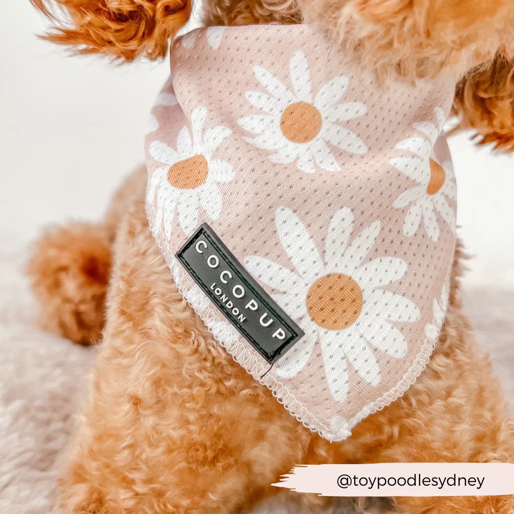 Daisy Chain Bandana - Image 5