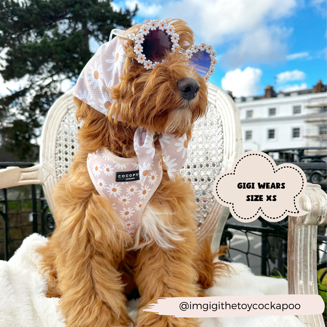 Daisy Chain Bandana - Image 6