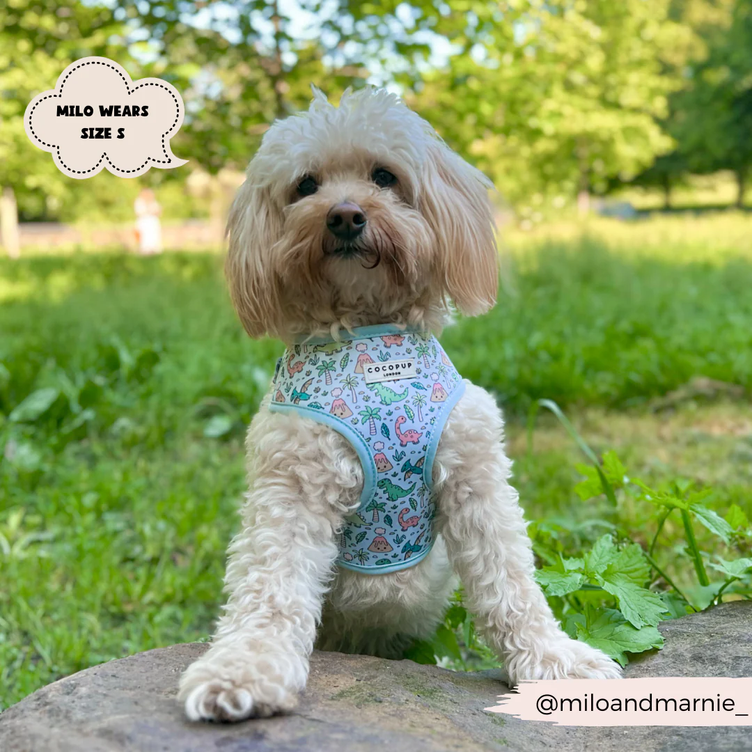 Dinopaws Adjustable Neck HARNESS - Image 15