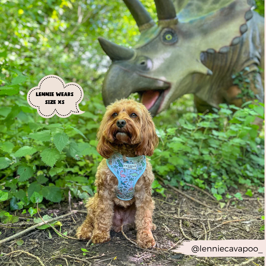 Dinopaws Adjustable Neck HARNESS - Image 18