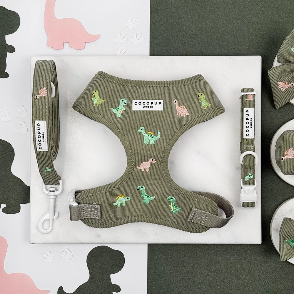 Dino Doodles Adjustable Neck Harness, Lead & Collar Bundle