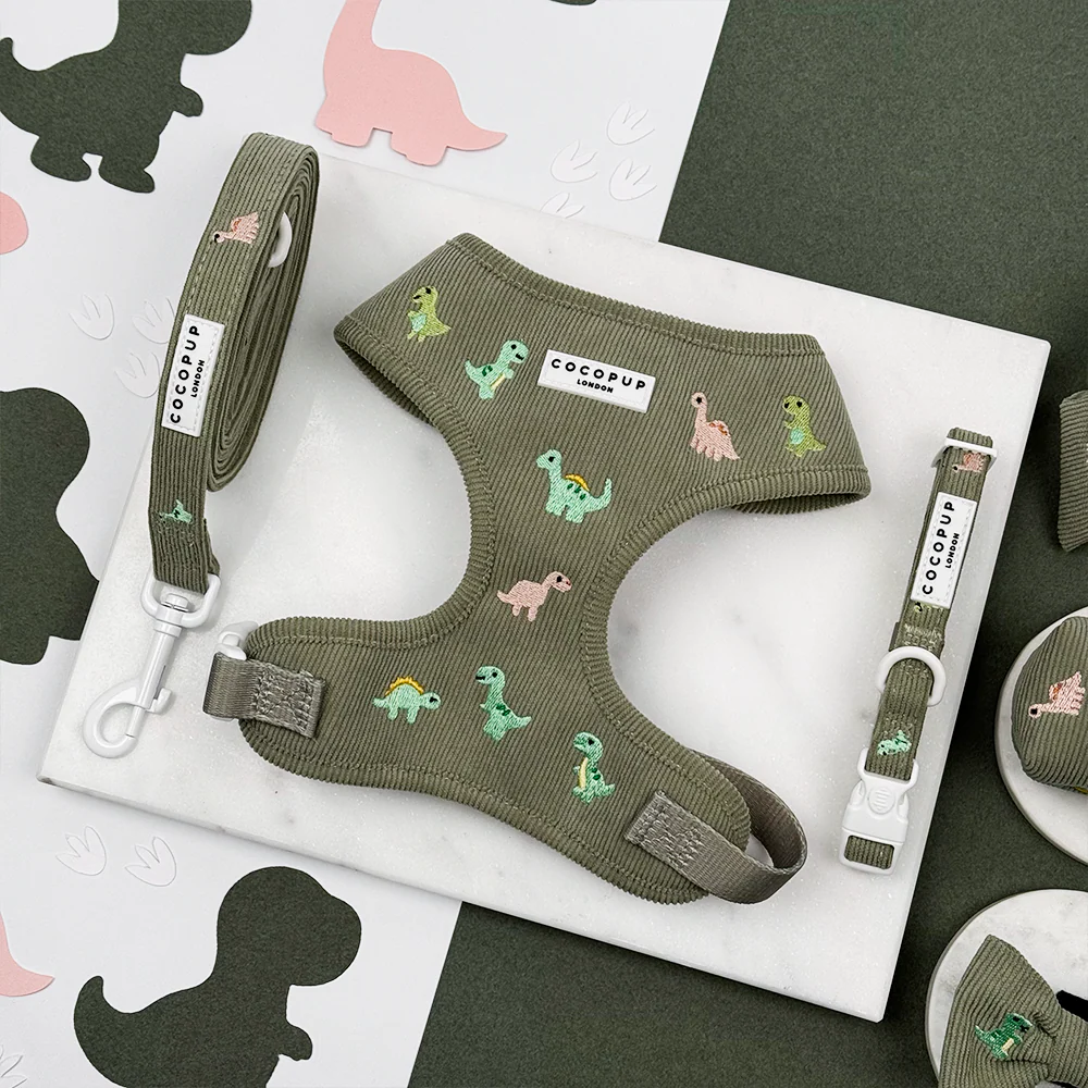 Dino Doodles Adjustable Neck Harness, Lead & Collar Bundle - Image 2