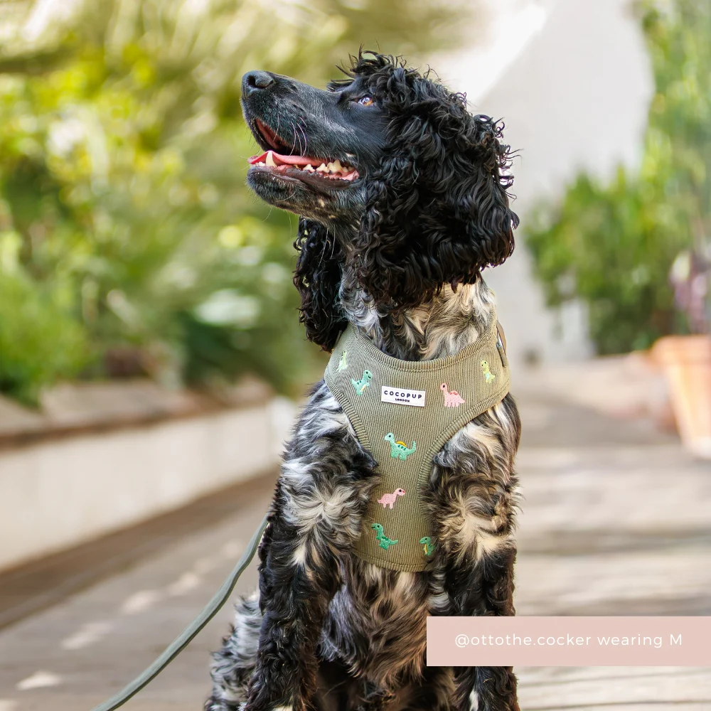 Dino Doodles Adjustable Neck HARNESS - Image 10