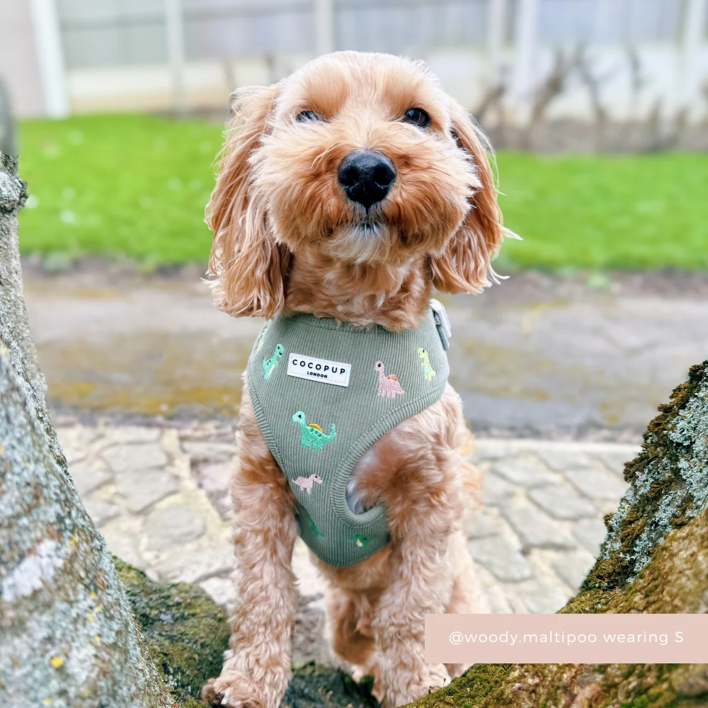 Dino Doodles Adjustable Neck HARNESS - Image 11