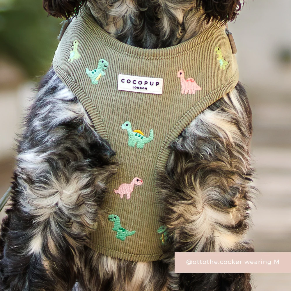 Dino Doodles Adjustable Neck HARNESS - Image 6