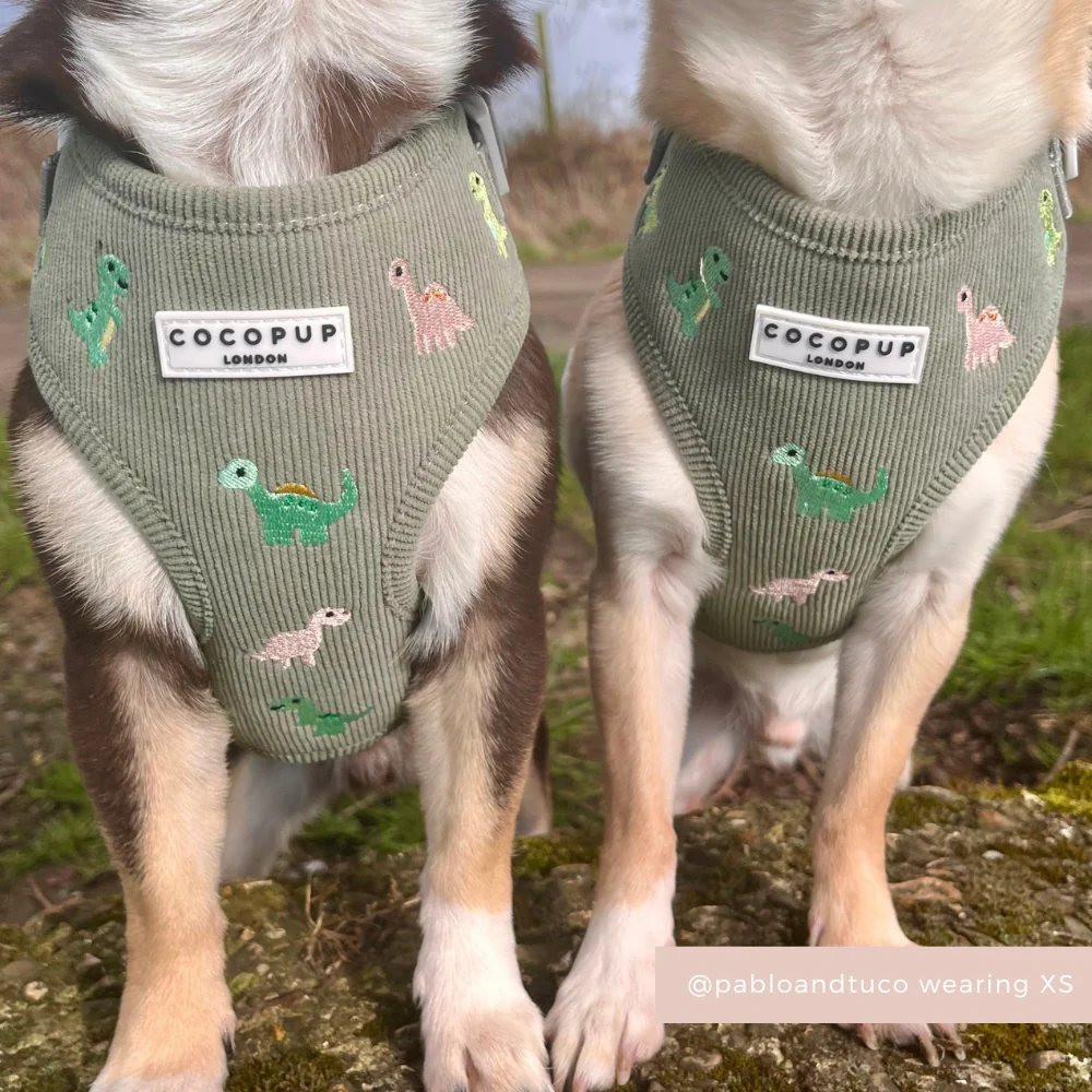 Dino Doodles Adjustable Neck HARNESS - Image 9