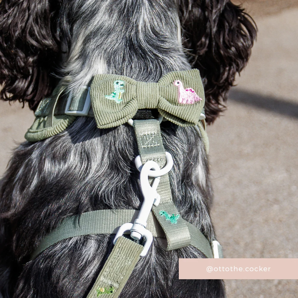 Dino Doodles Bow Tie - Image 4