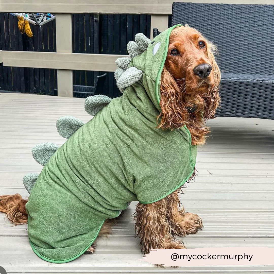 Dinopup Drying Robe - Image 18