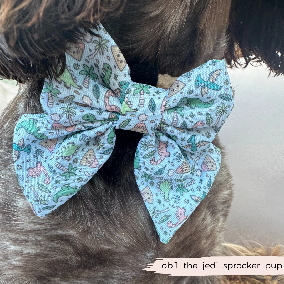 Dinopaws Sailor Bow Tie - Image 3