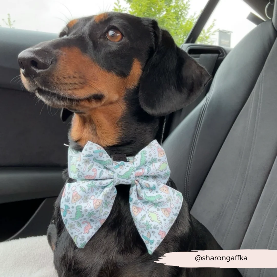 Dinopaws Sailor Bow Tie - Image 5
