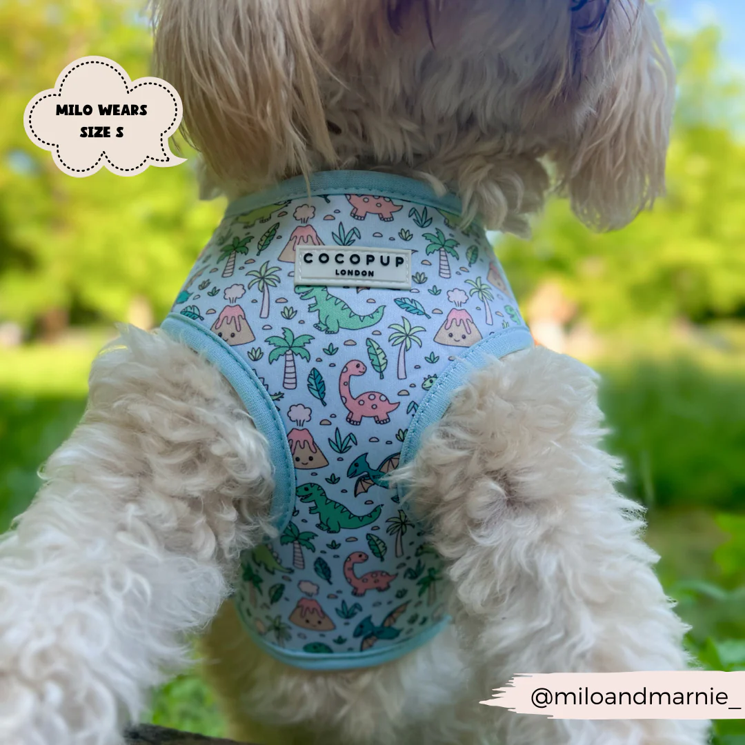 Dinopaws Adjustable Neck Harness, Lead & Collar Bundle - Image 17
