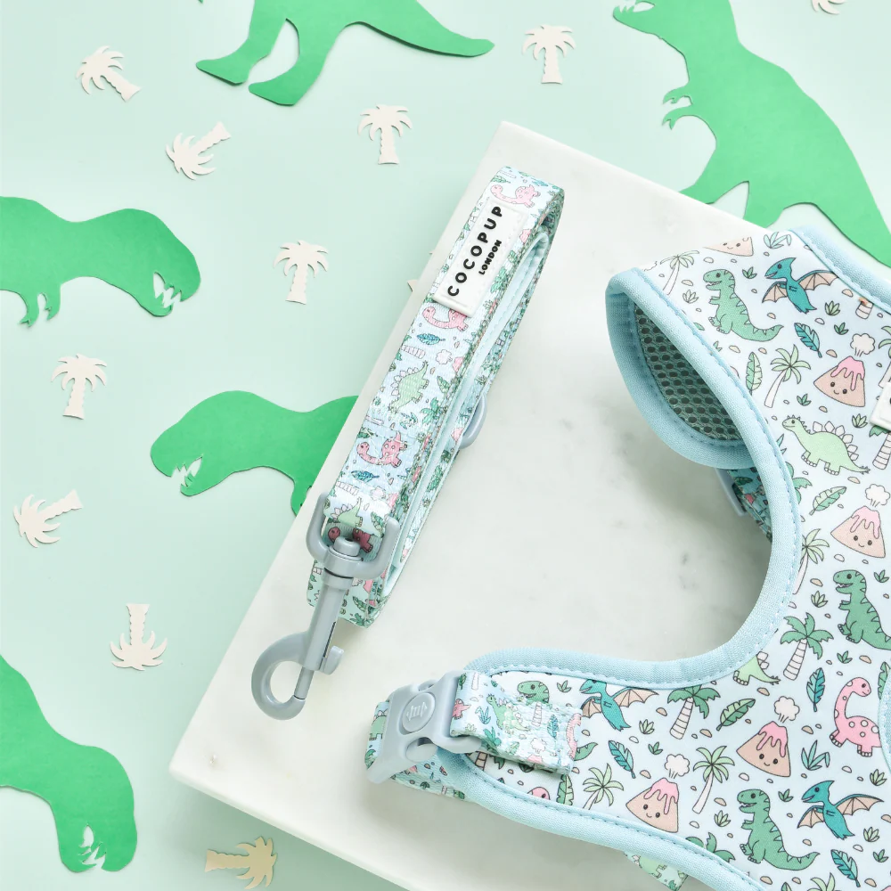 Dinopaws Adjustable Neck Harness, Lead & Collar Bundle - Image 4