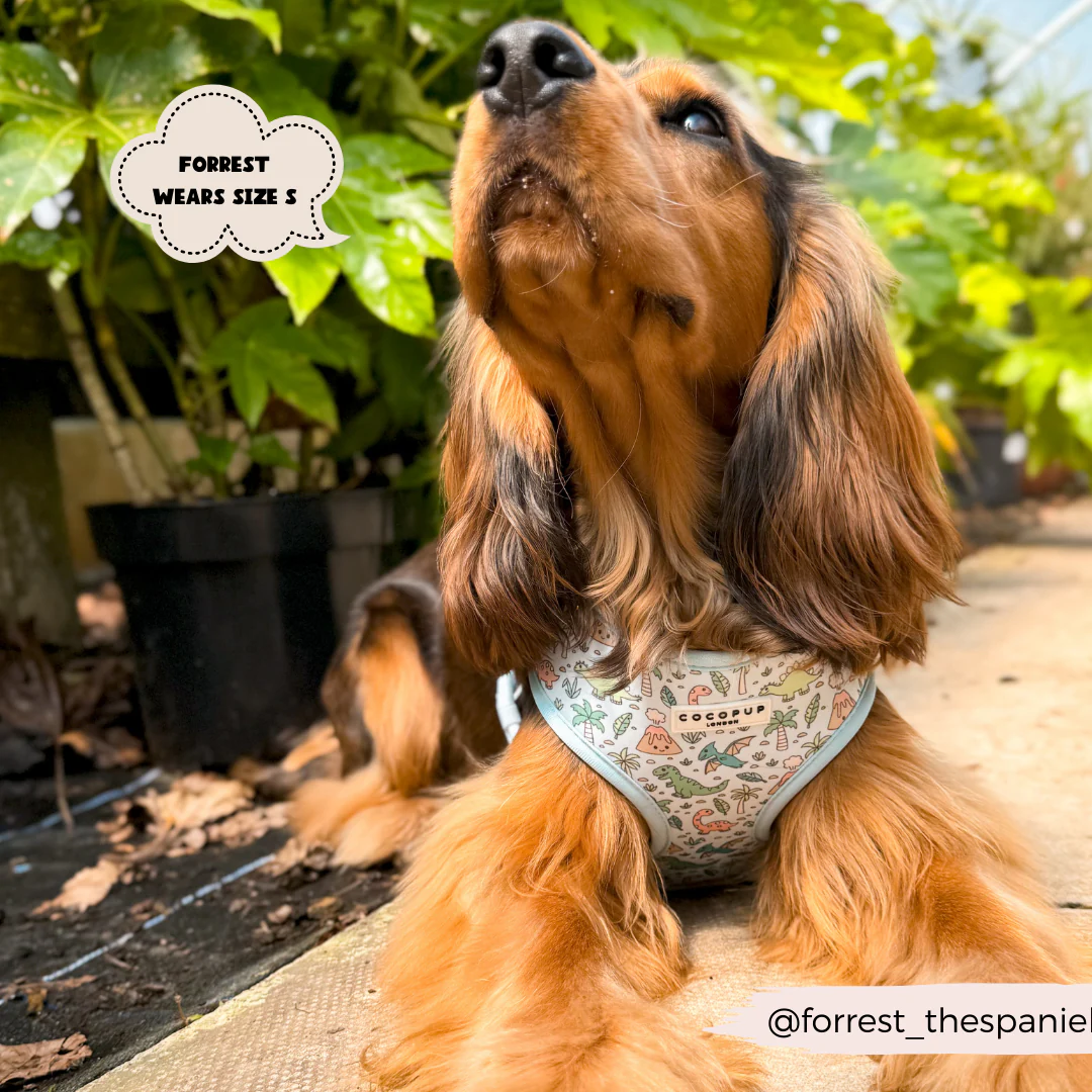 Dinopaws Adjustable Neck Harness, Lead & Collar Bundle - Image 9