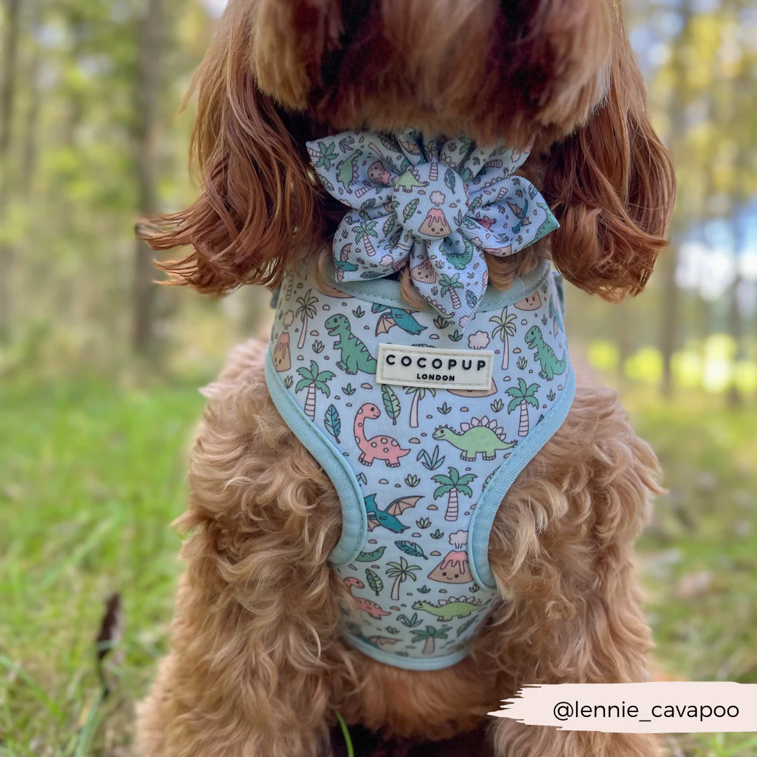 Dinopaws Collar Flower - Image 3