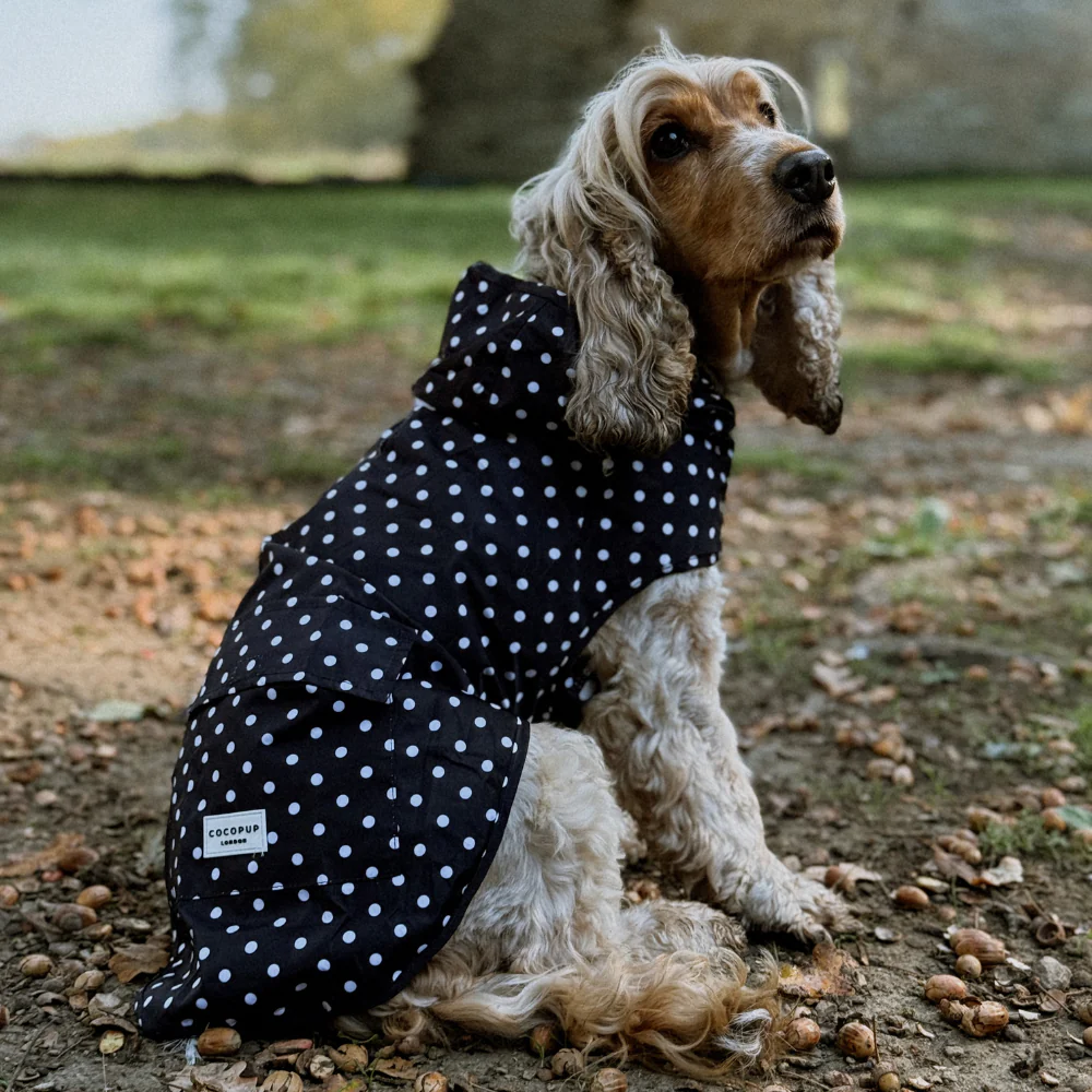 Dog Raincoat - Black Polka Dot - Image 7