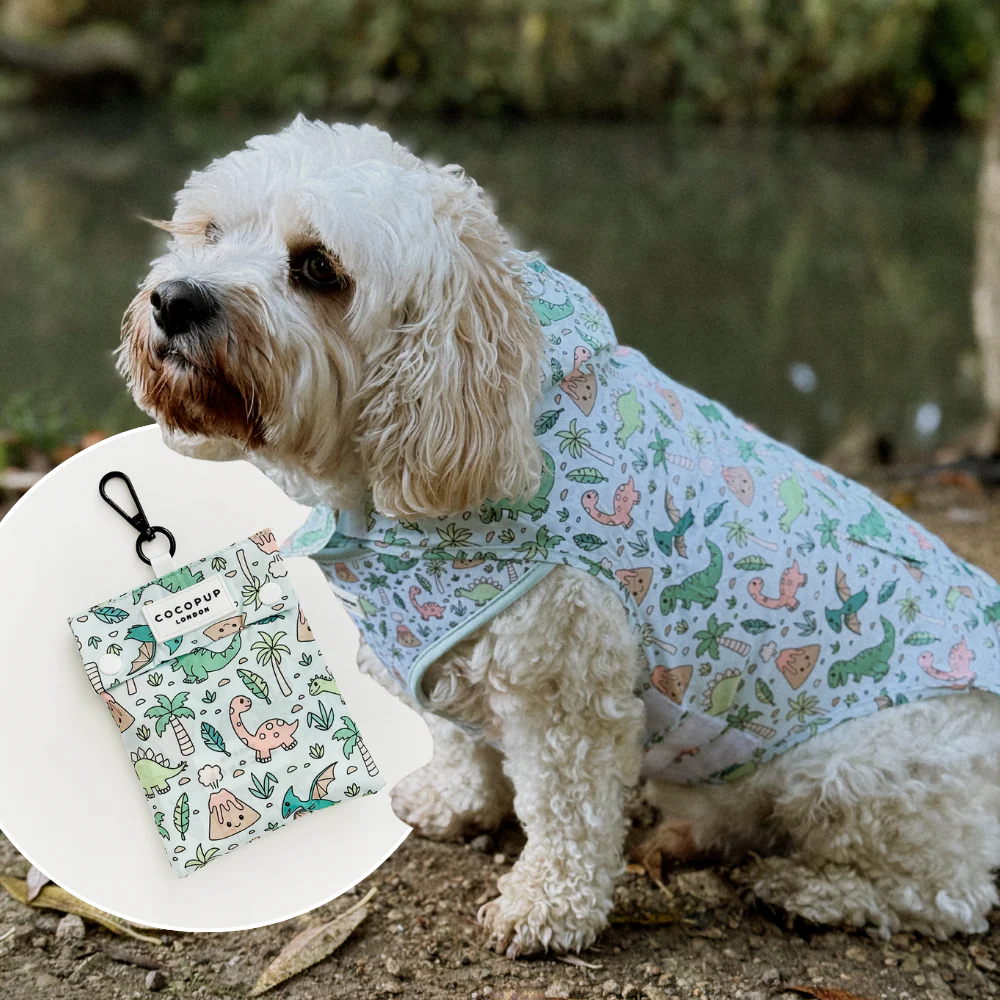 Dog Raincoat - Dinopaws
