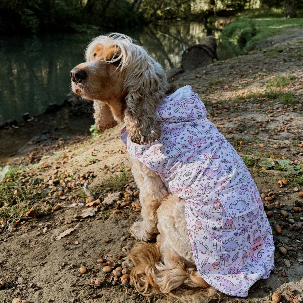 Dog Raincoat - Princess Dino - Image 5