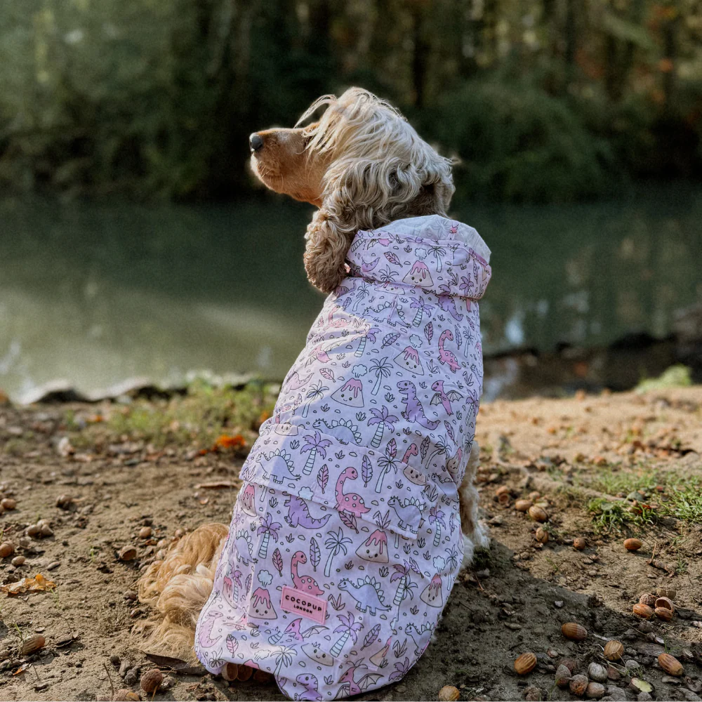 Dog Raincoat - Princess Dino - Image 7