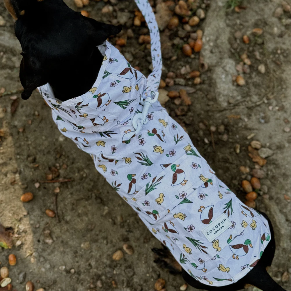 Dog Raincoat - Puddle Pup - Image 6