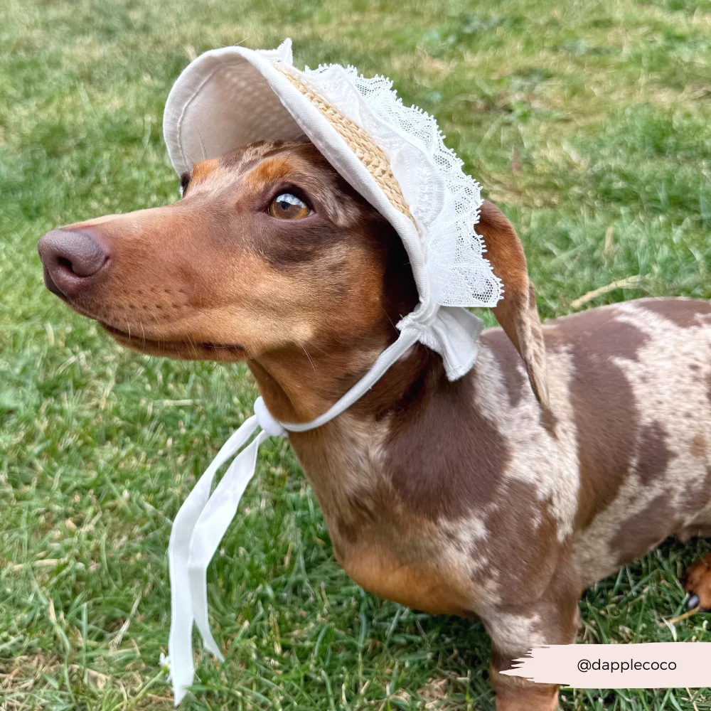 Dog Straw & Lace Sun Hat - Image 5