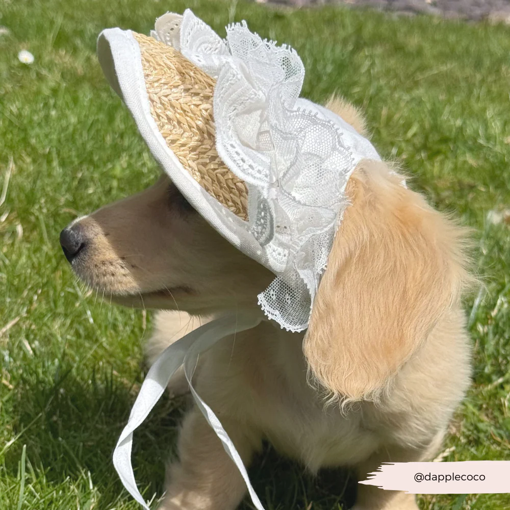 Dog Straw & Lace Sun Hat - Image 6