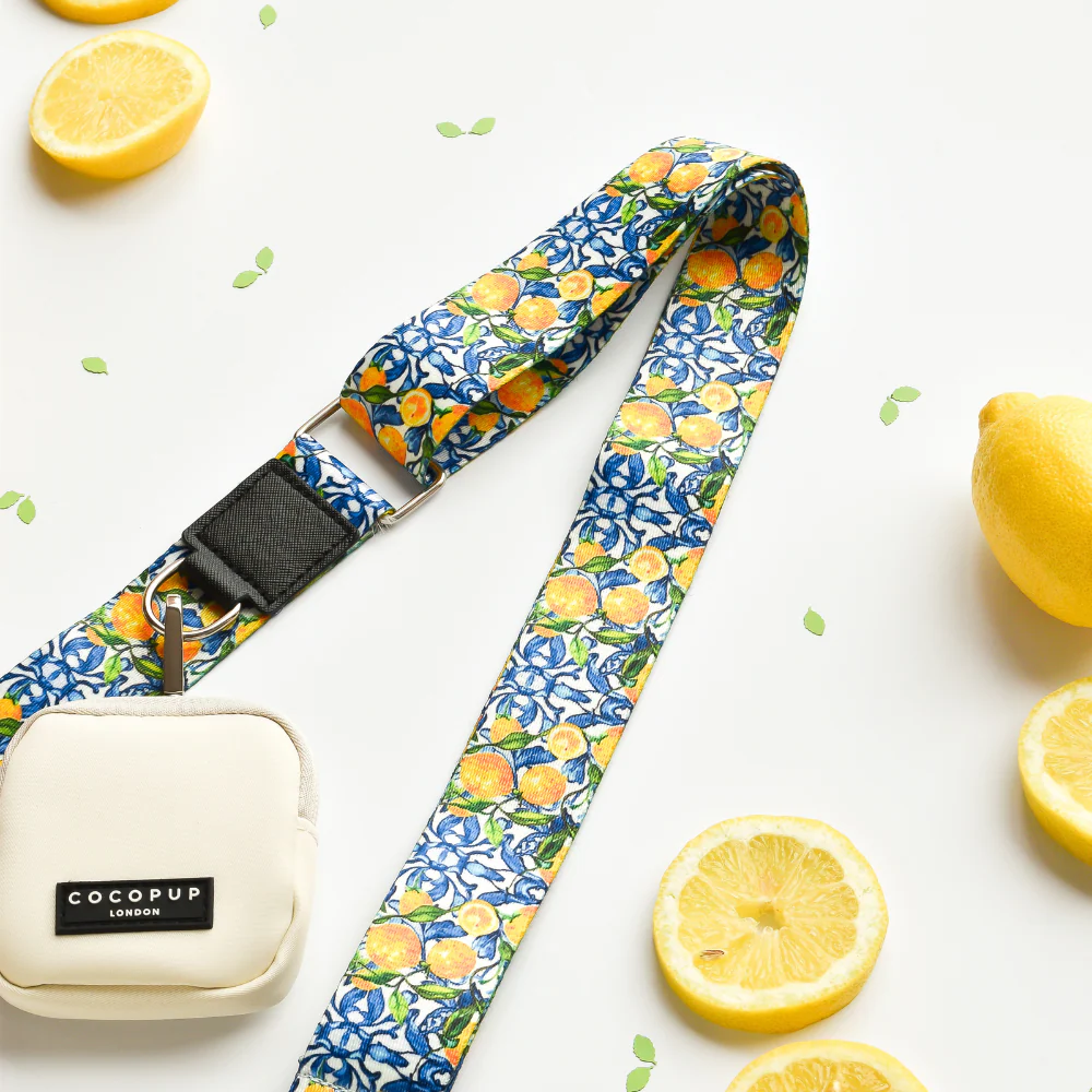 Dog Walking Bag Bundle - Amalfi Lemon - Image 4