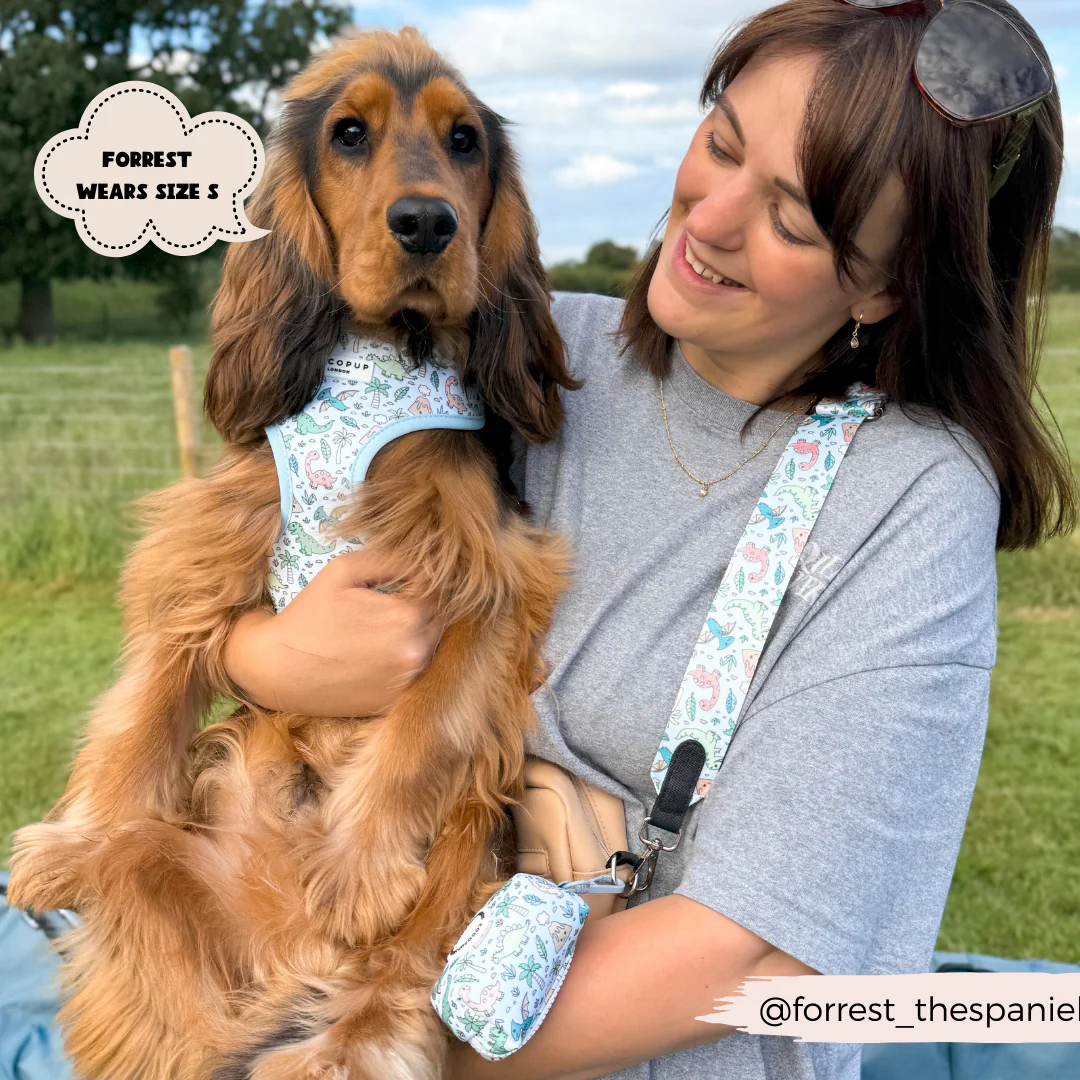 Dog Walking Bag Bundle - Dinopaws - Image 4
