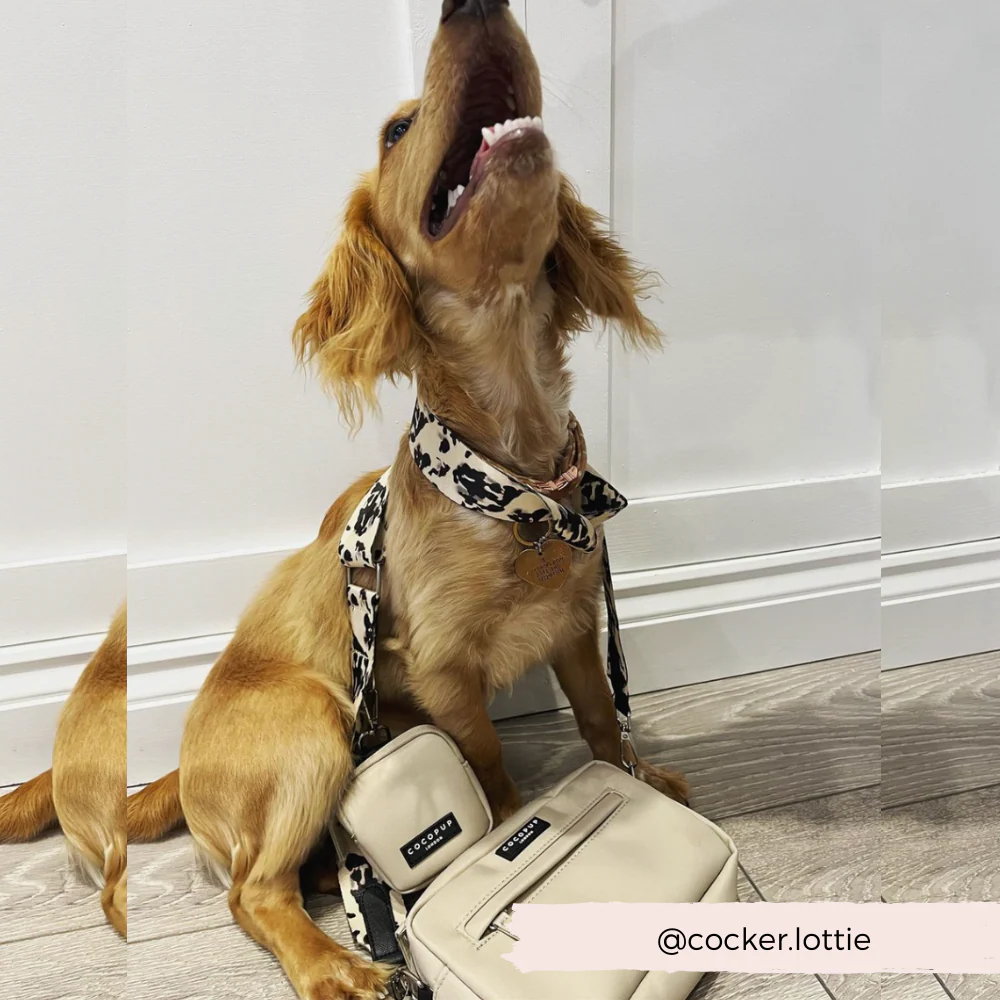 Dog Walking Bag Bundle - Ivory Tort - Image 10